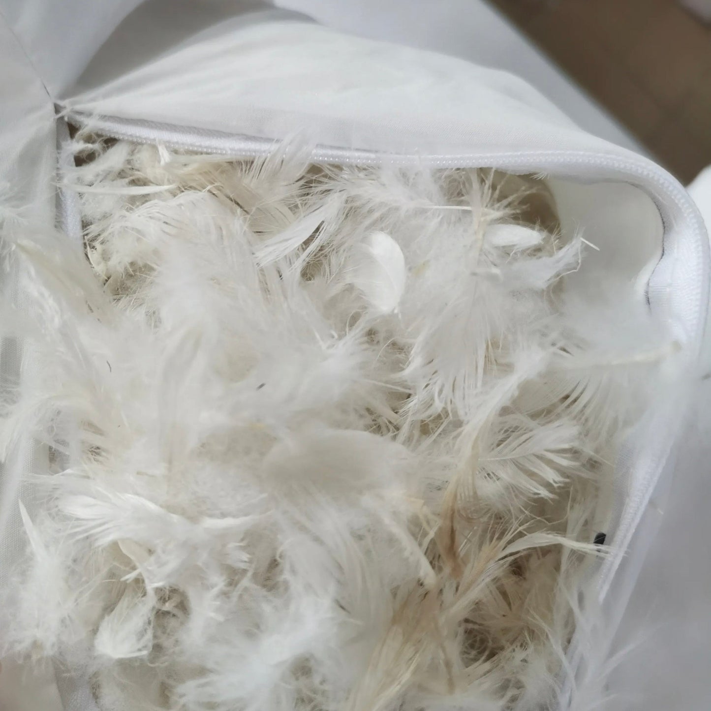 A pillow with a broken seam releases white feathers, capturing the plush softness akin to that of the Heavenly Sectional Sofa - Modular 3-Piece Set - Cream.