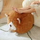 Cute Beanbag Ottoman Stool