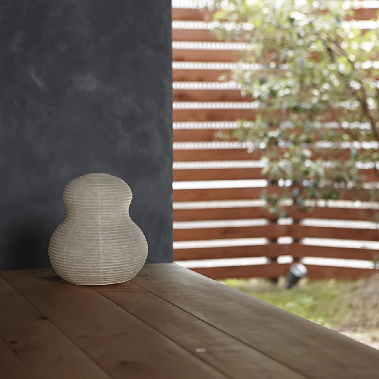 Asano - Paper Moon 2