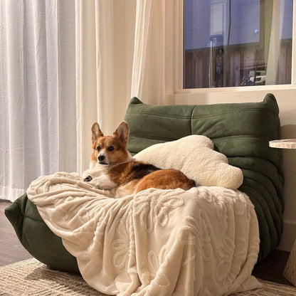 A Corgi lies on a Chillax Lounger Sofa Chair, a green seat with multi-layer high-density foam, draped in a white blanket. The room has a window with sheer curtains and a round side table.